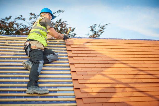 Best Solar Panel Roofing Installation  in Gregory, TX